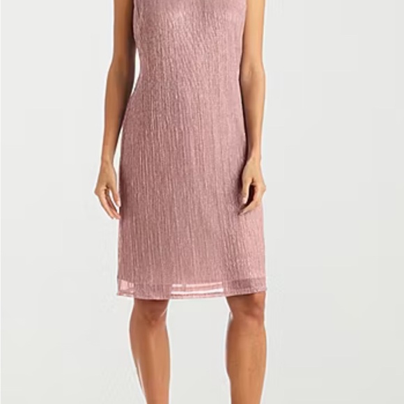 NWT! R & M Richards 2 piece mauve mother of the bride/groom dress. Size 16. - Picture 4 of 12